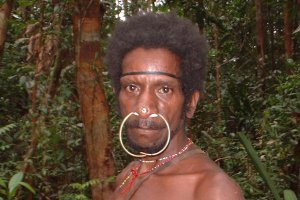 Korowai impacts